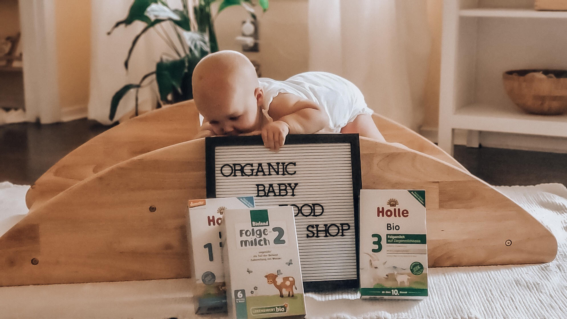 Who we are and why we decided to open our warehouse in Germany